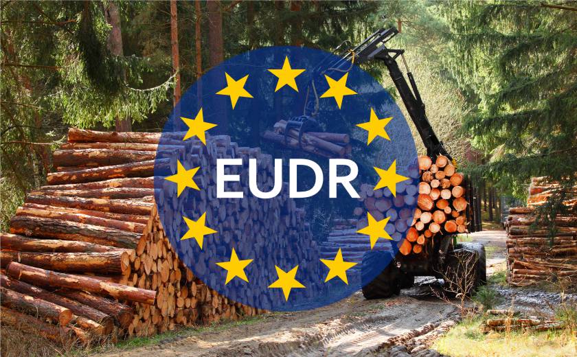 EUDR y su impacto en la gestión sostenible de los embalajes de madera