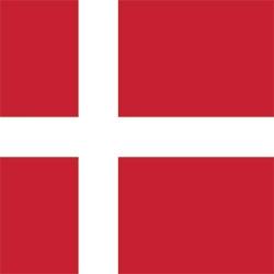Nueva filial en Dinamarca- El Grupo Rotom entra en el mercado escandinavo